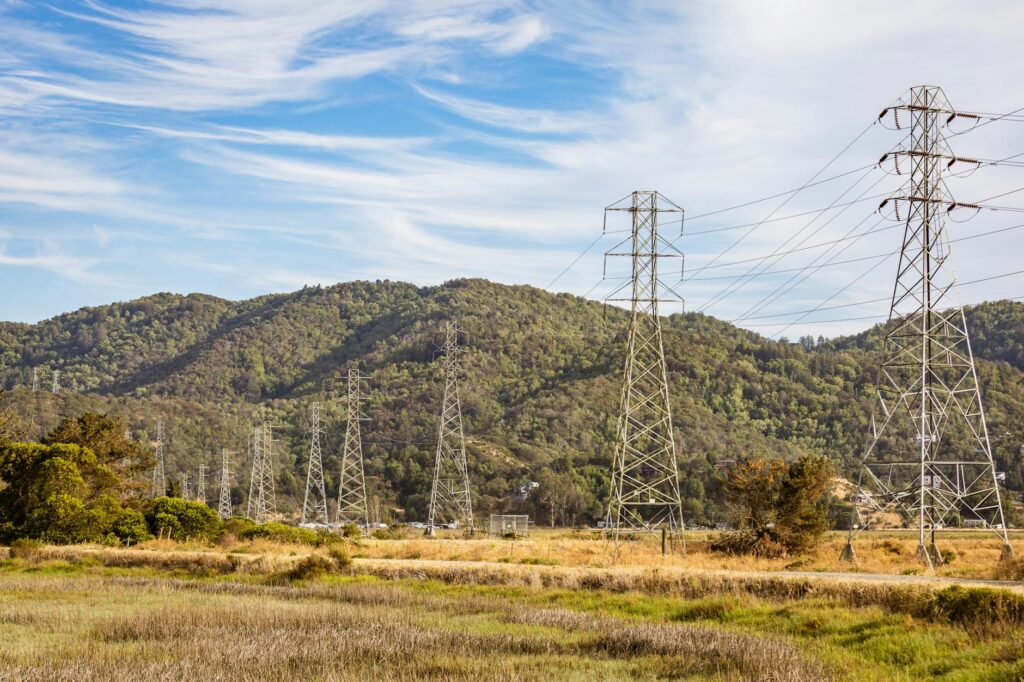 How Cooperatives Are Reshaping the Economy